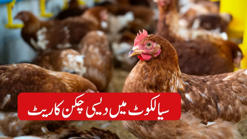 Desi Chicken Sialkot